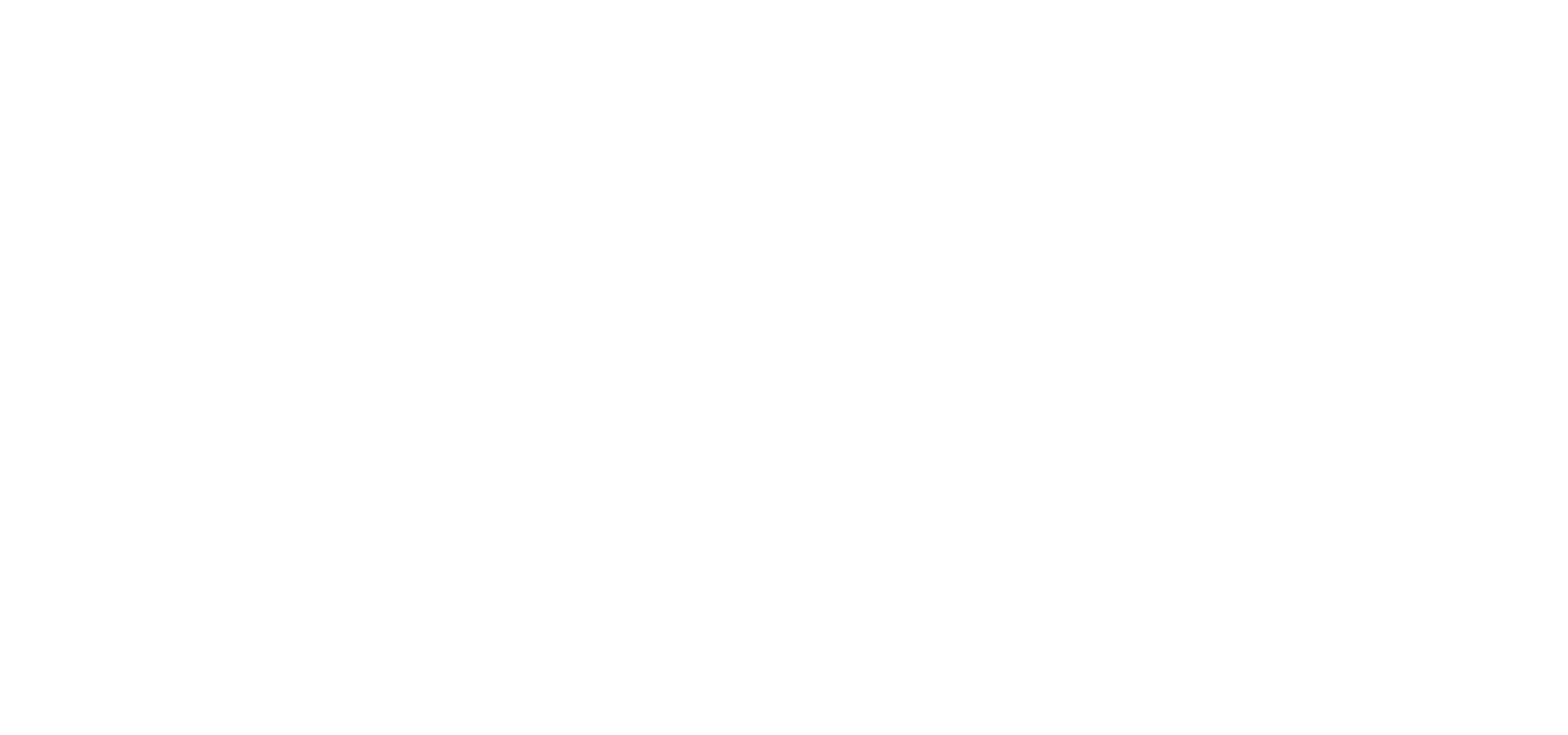 BCI · Basic Concepts Inc